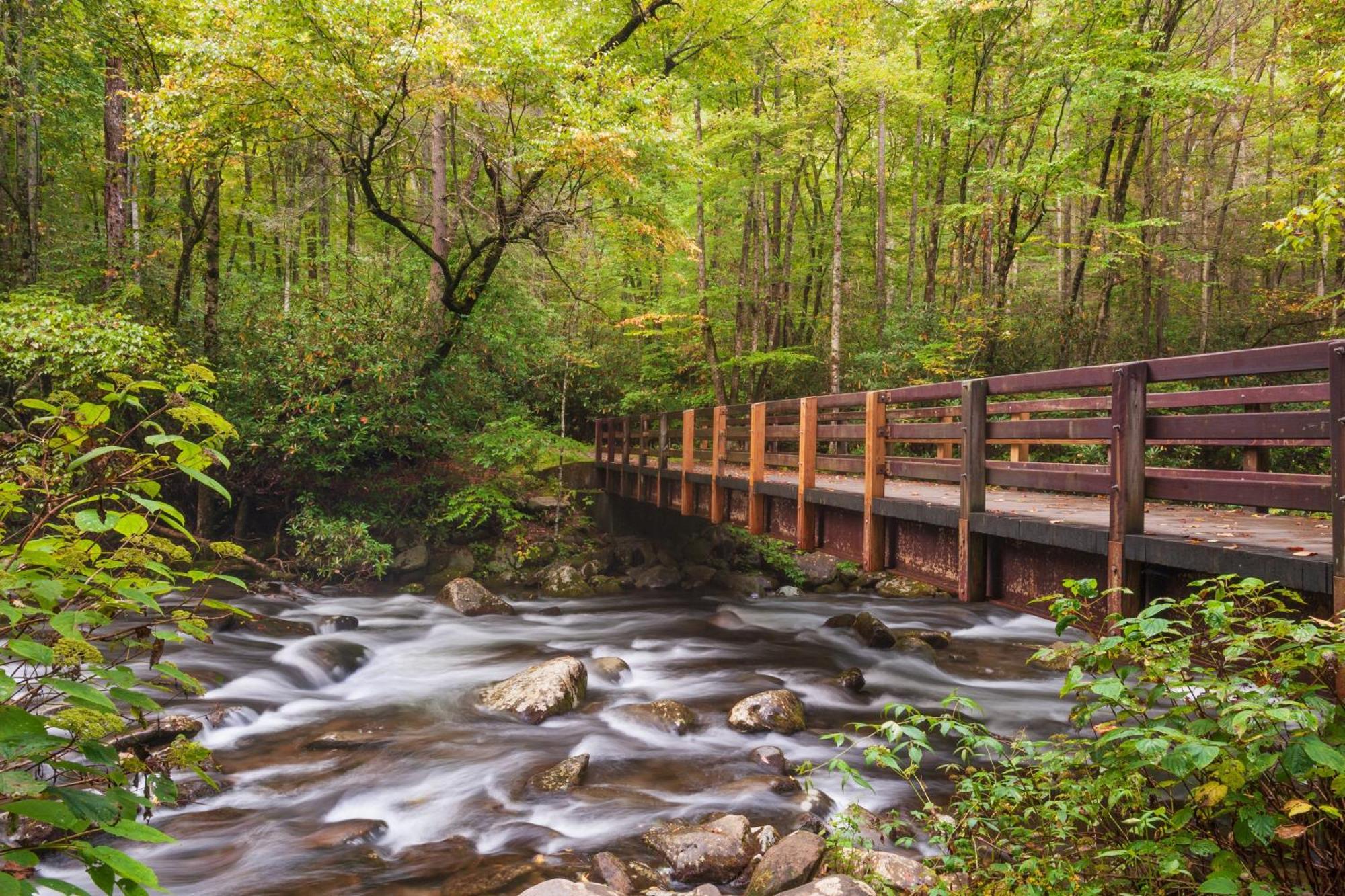 Bridgewood Cabin, Hot Tub, 1089 Of Free Attraction Tickets For Each Paid Day, Dollywood And More! Pigeon Forge Exterior foto